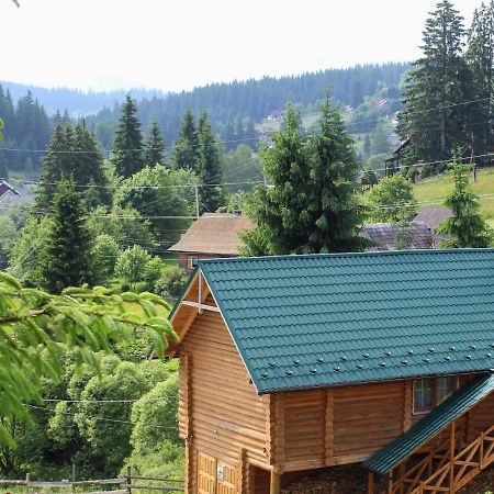 "Лісова Ягода" Yablunytsya Exterior photo